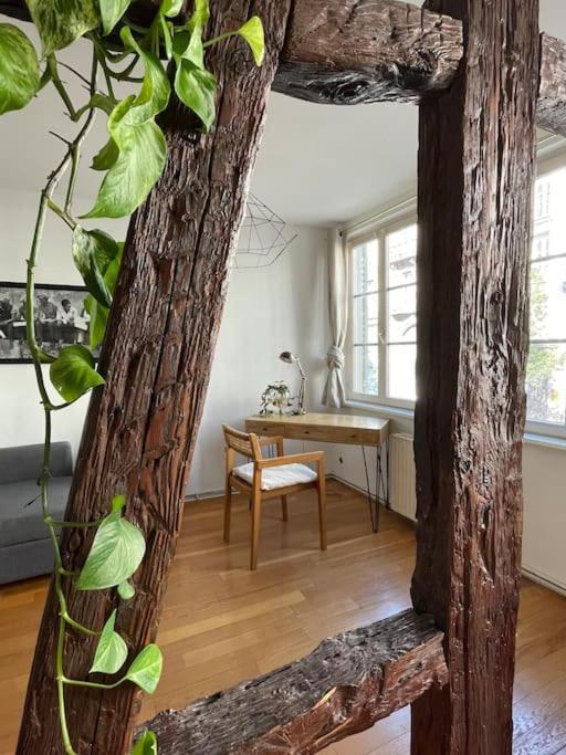 Appartement 2 Chambres Au Coeur De Strasburgo Esterno foto