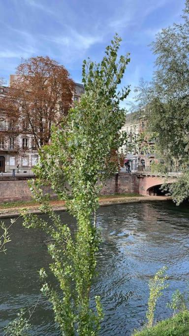 Appartement 2 Chambres Au Coeur De Strasburgo Esterno foto