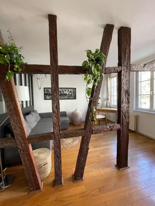 Appartement 2 Chambres Au Coeur De Strasburgo Esterno foto